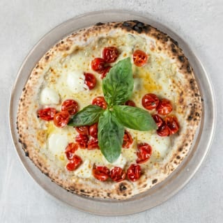 16" POMORDORINI