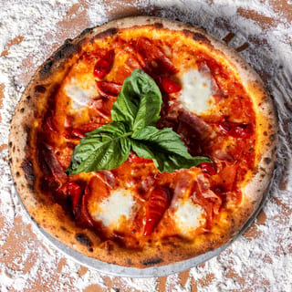 16" DIAVOLA